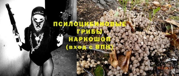 твердый Аркадак