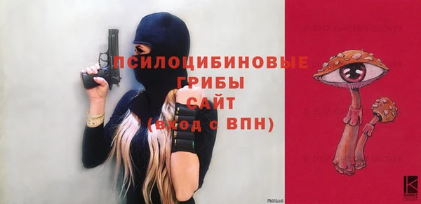 твердый Аркадак