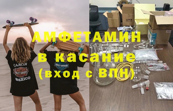 твердый Аркадак