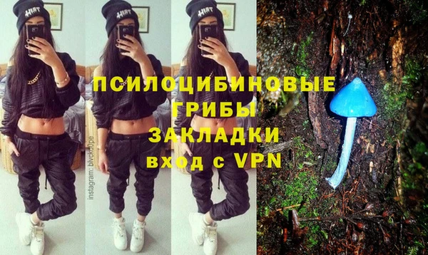 твердый Аркадак